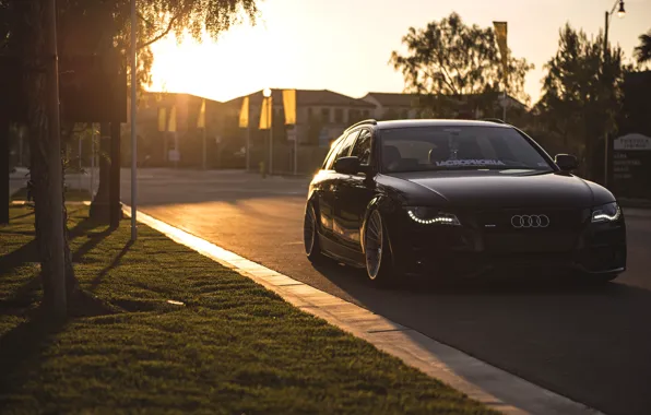 Picture Audi, black, wagon, before