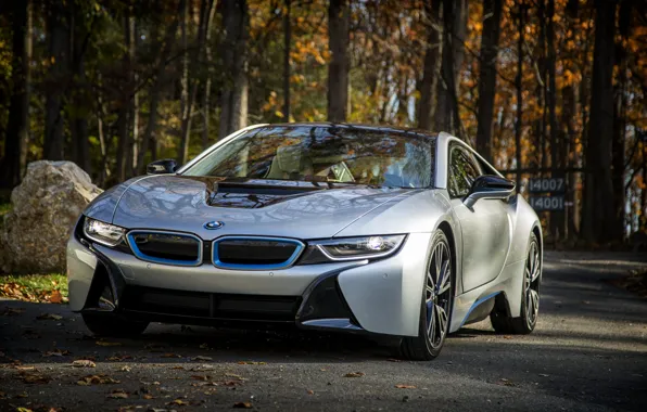 BMW, White, Road, Forest