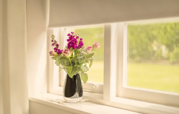 Picture flowers, background, window