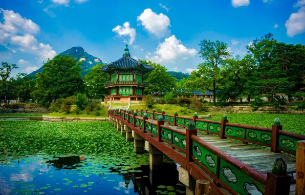 South Korea, in the Park, South Korea, wooden bridge, Kenbokkun
