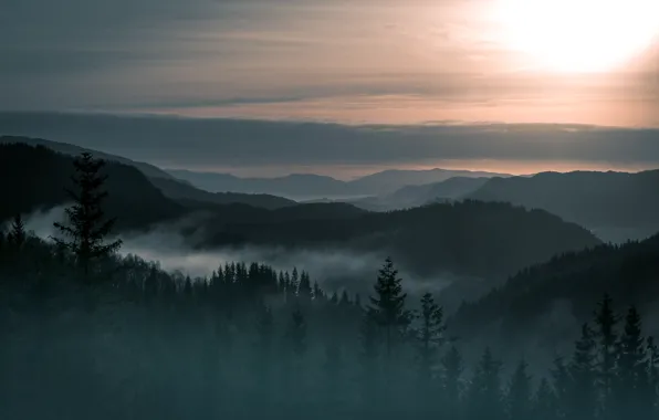 Trees, landscape, fog, mountain, beauty, Norway, forest