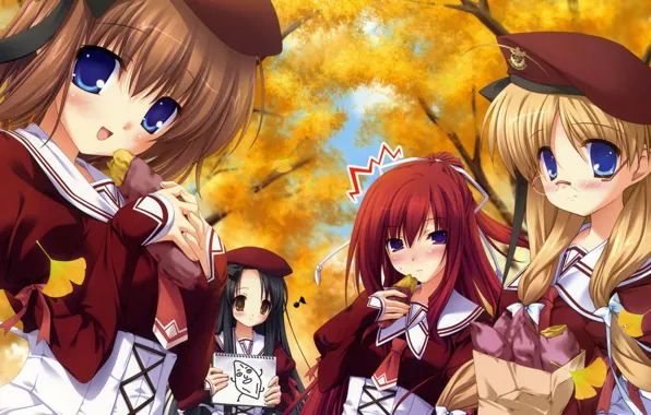 Autumn, anime, school, girlfriend, scolmatore
