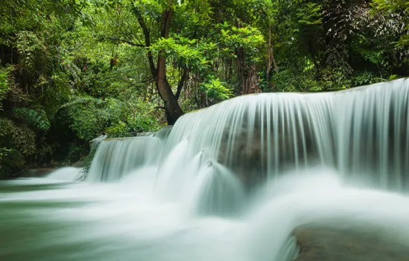 Water, Nature, Stream, Waterfall, Forest