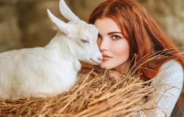 Picture look, girl, face, hay, red, redhead, goat, goat