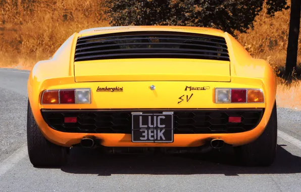 Color, Auto, Yellow, Lamborghini, Machine, 1971, Car, Supercar