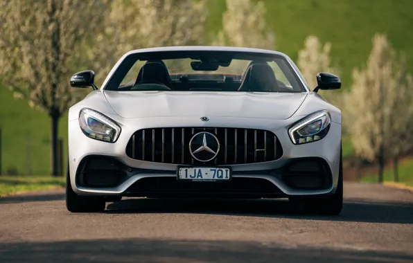 Roadster, Mercedes-Benz, front view, AMG, 2018, GT C