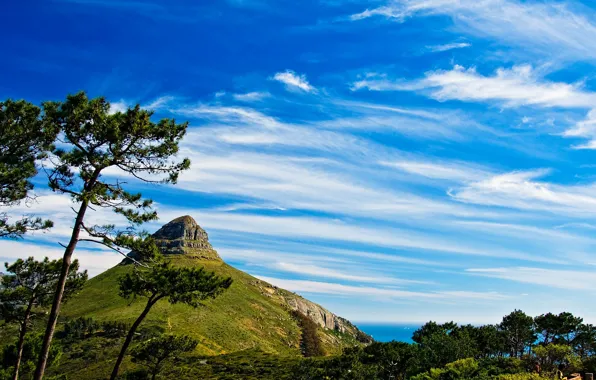 Sea, the sky, grass, clouds, trees, mountain, top