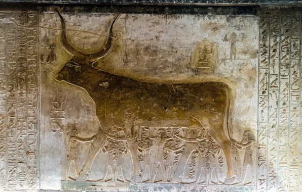 Wall, Egypt, bull