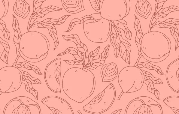 Vector, texture, fruit, pink background