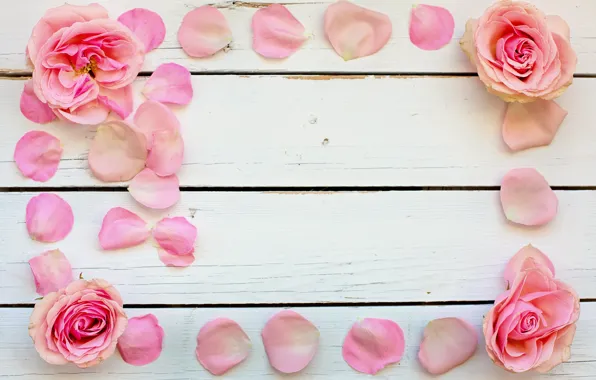 Picture tenderness, roses, petals, pink, flower, wood