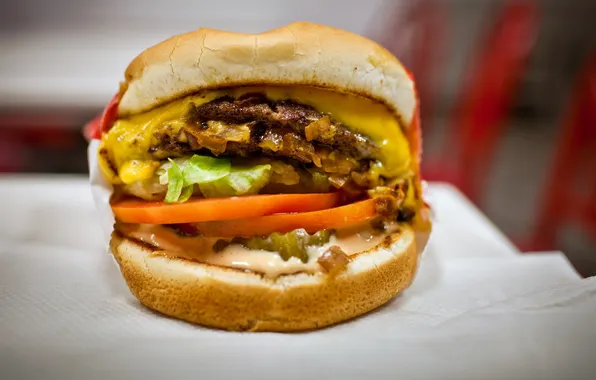 Picture macro, food, Burger