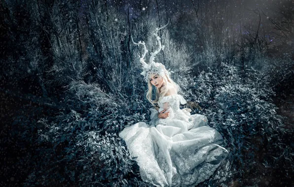 Grass, look, leaves, girl, light, night, branches, nature