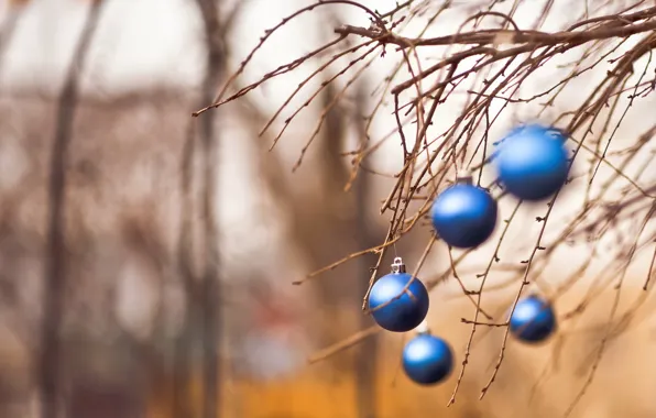 Branches, holiday, toy