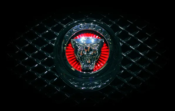 Picture Jaguar, Machine, Grille, Jaguar, Emblem, Logo, Radiator