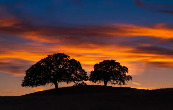 Picture the sky, clouds, trees, silhouette, hill, glow