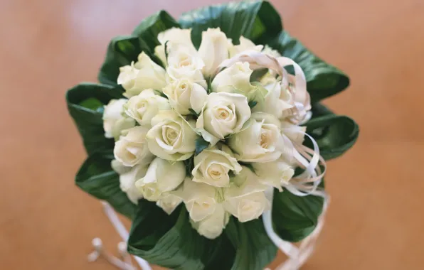 Picture flowers, roses, bouquet, white, wedding