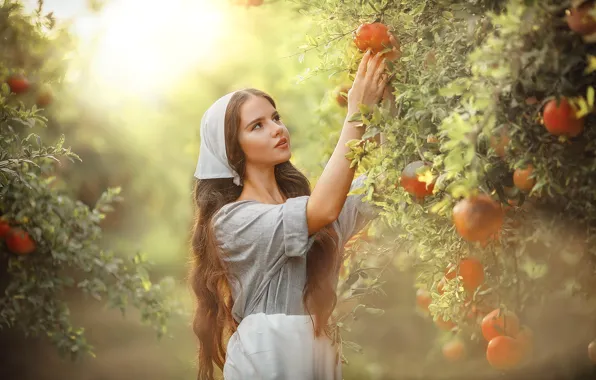 Girl, light, branches, foliage, garden, brown hair, fruit, beautiful