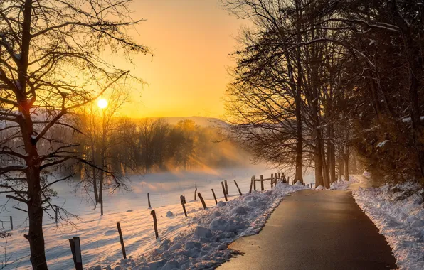 Picture winter, snow, trees, sunset, photo, track, Frank Delargy