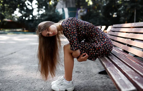 Picture dress, sponge, bench, MERNAEV