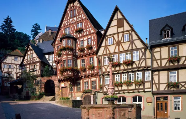 Picture the sky, flowers, street, home, fountain