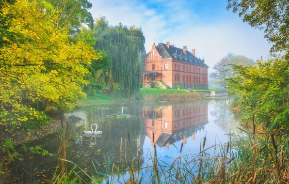 Autumn, the sky, water, trees, birds, fog, lake, house