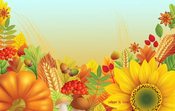 Wheat, autumn, the sky, mushrooms, ear, harvest, pumpkin, acorns