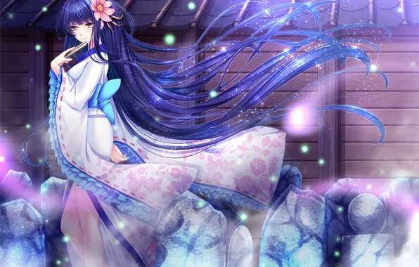 Picture look, girl, night, smile, magic, fan, art, toshi