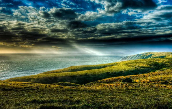 Picture SEA, GRASS, HORIZON, The OCEAN, The SKY, CLOUDS, GREEN, DAL