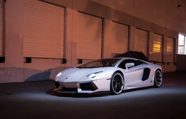 Picture white, wall, shadow, the evening, white, lamborghini, front view, aventador