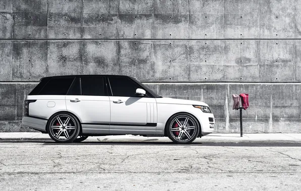 Picture white, profile, white, land rover, range rover, range Rover, land Rover, white rims