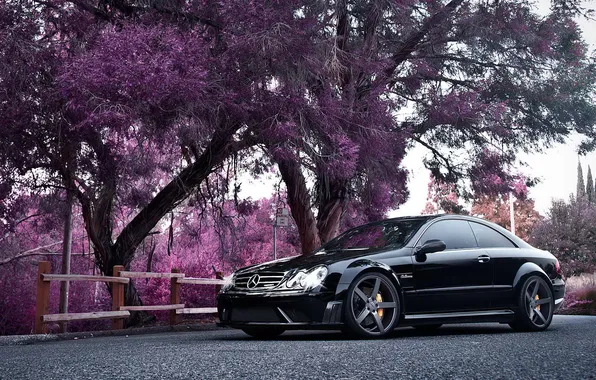 Picture trees, coupe, pink, car, Mercedes Benz, Mercedes, CLK, Black Series