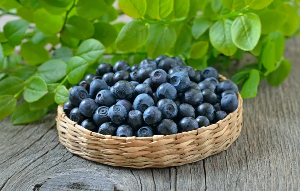 Berries, blueberries, basket, blueberry