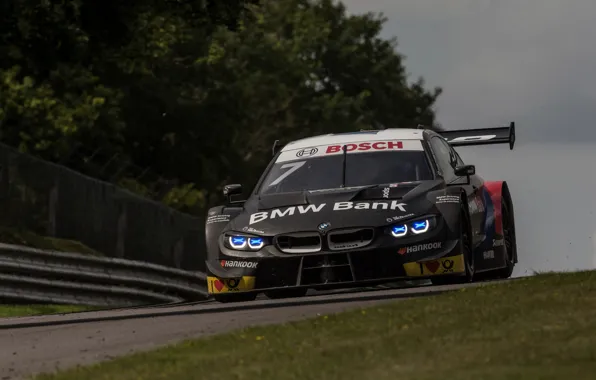 Grass, trees, lawn, coupe, track, BMW, the fence, M4 DTM