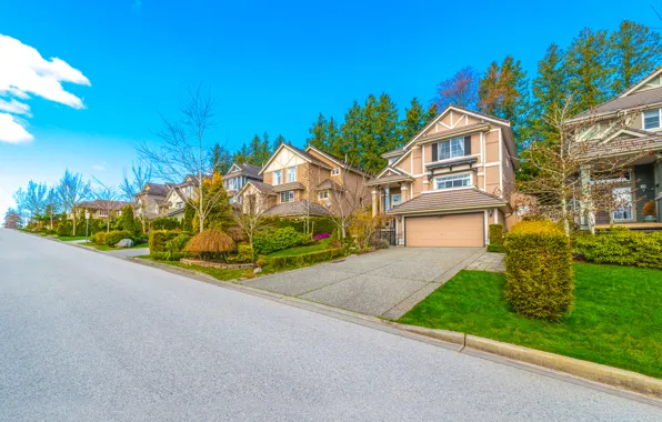 Picture lawn, street, home, the bushes