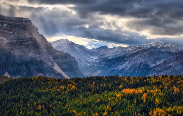 Autumn, forest, the sky, clouds, light, mountains, fog, tops