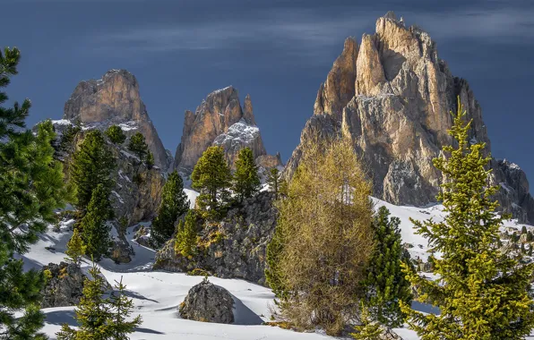 Winter, the sky, the sun, snow, trees, stones, rocks, Alps