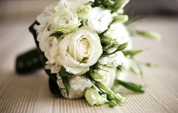Roses, bouquet, white, roses