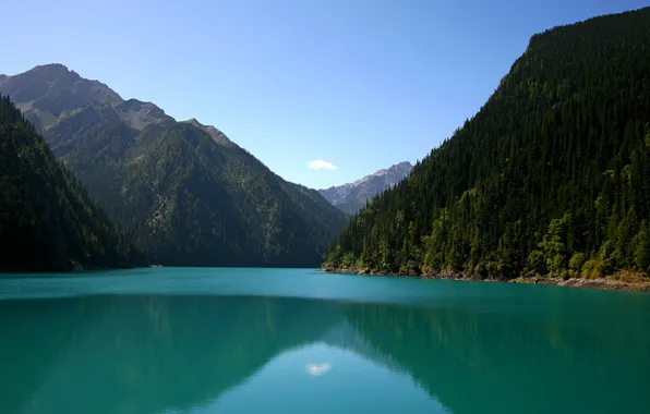 Forest, landscape, mountains, nature, lake, China