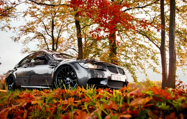 Picture BMW, autumn, leaves, e92, fall