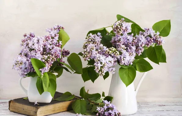 Picture flowers, branches, book, lilac, pitchers