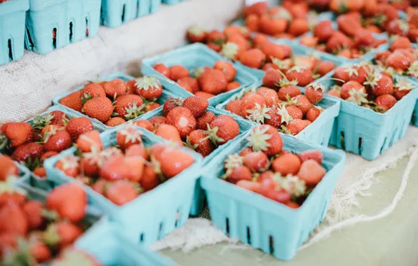 Red, berries, strawberry, a lot