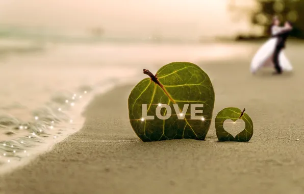 Sand, leaves, water, joy, people, shore, pair, love