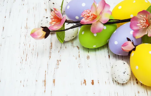 Flowers, eggs, spring, colorful, Easter, happy, wood, pink
