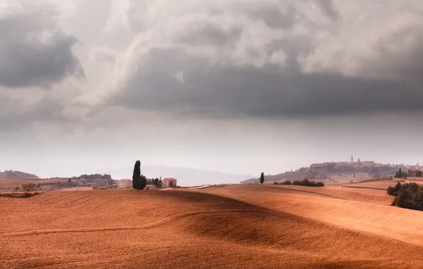 Picture field, trees, hills, home, Italy, Tuscany