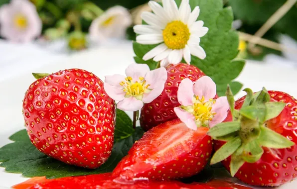 Leaves, flowers, berries, strawberry, red, jam, jam