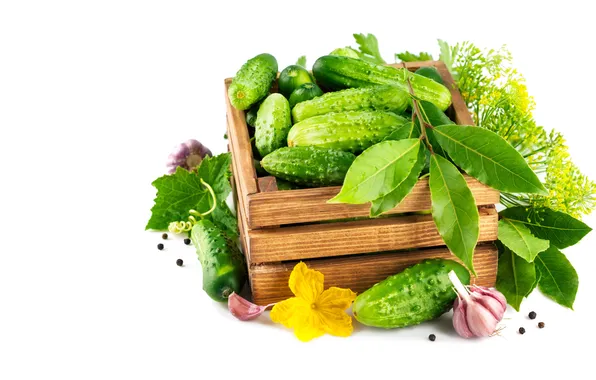 Flowers, dill, box, cucumbers, garlic, Bay leaf