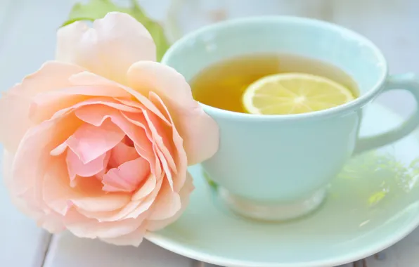 Flower, lemon, tea, pink, rose, Cup, saucer