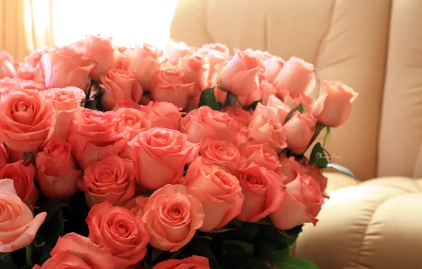 Picture love, flowers, holiday, romance, roses, day, pink, birth