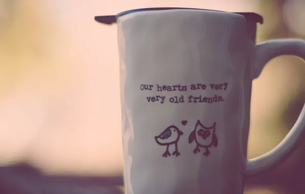 Picture text, the inscription, owl, mug, Cup, birds