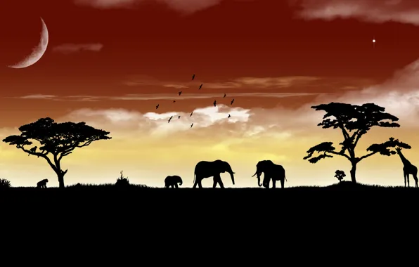 Animals, the sky, landscape, animals, elephant, Savannah